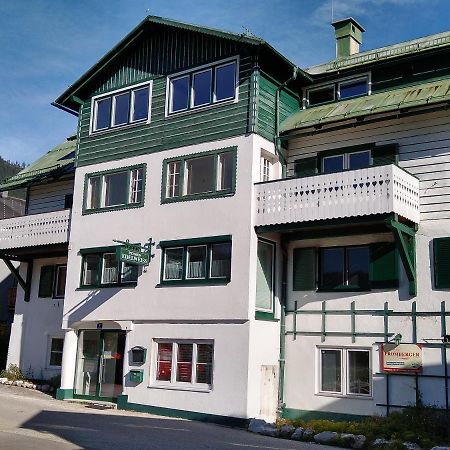 Apartment Haarlem Gosau Dış mekan fotoğraf